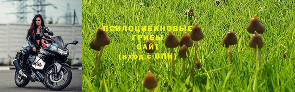 СК Магас